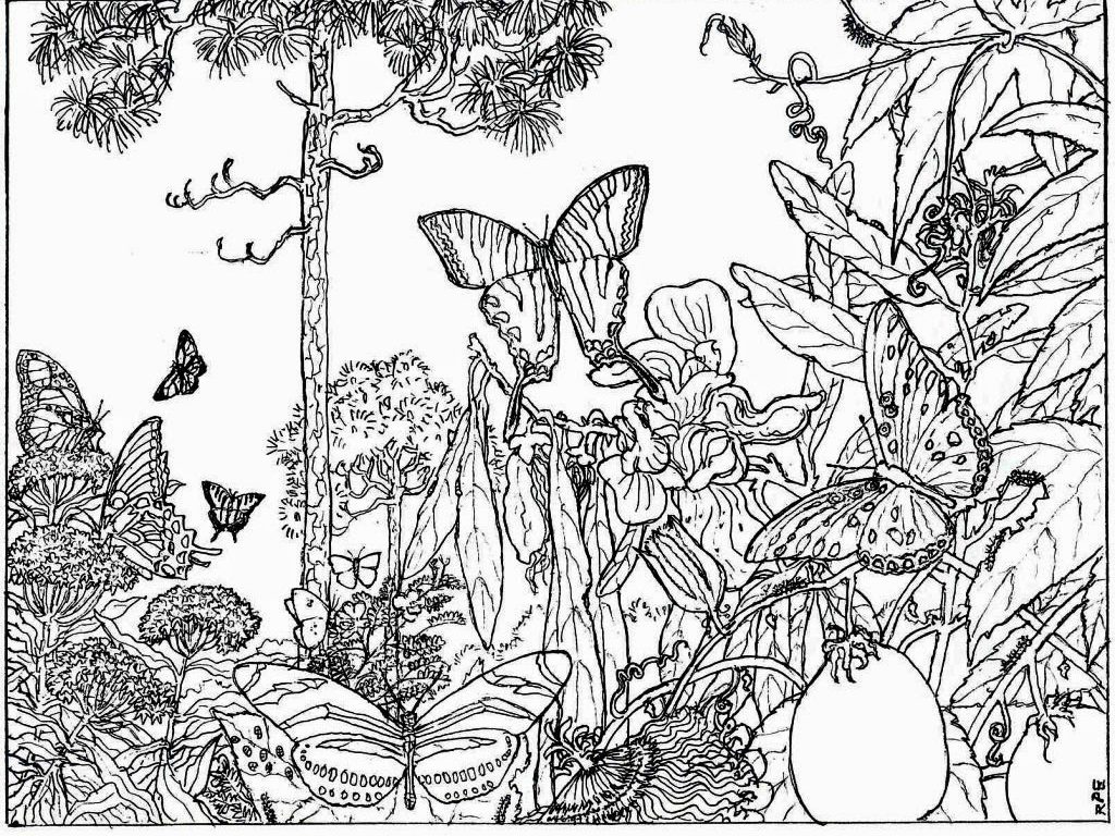 1024x768 Nature Coloringes For Kindergarten Free Adults Printable Kids