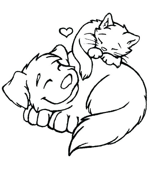 Charming Coloring Pages Cats Cat Coloring Pages Cat Coloring Page 488x553 Charming Coloring Pages Cats Cat Coloring Pages Cat Coloring Page