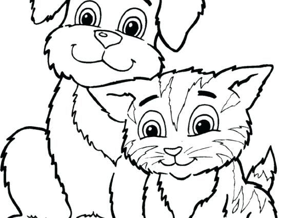 Free Coloring Pages Cats Fancy Cats And Dogs Coloring Pages 550x425 Free Coloring Pages Cats Fancy Cats And Dogs Coloring Pages