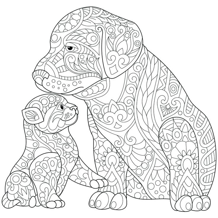 Cat And Dog Coloring Pages Dog Coloring Pages Free Cat Dog 736x736 Cat And Dog Coloring Pages Dog Coloring Pages Free Cat Dog