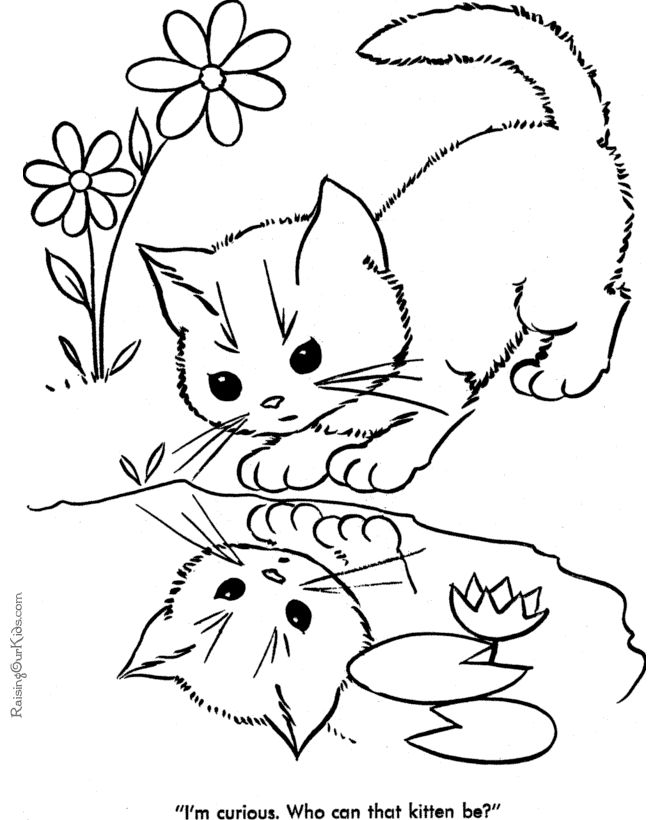 670x820 98 Best Cat,'s Pic Images On Coloring Books, Coloring