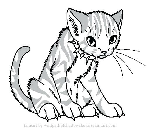 517x447 Best Warrior Cat Coloring Pages Images On Warrior Free Coloring