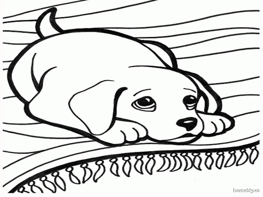 1024x768 New Coloring Pages Dogs And Puppies Leversetdujourfo Free