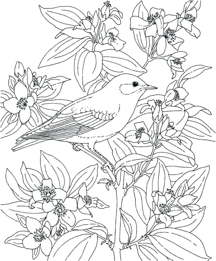 700x846 Flower Drawing Flower Drawing Flowers Tribal Flower Drawing