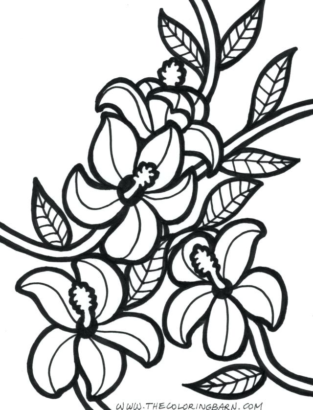 640x838 Free Coloring Media With Girl Coloring Pages Hawaii Flower
