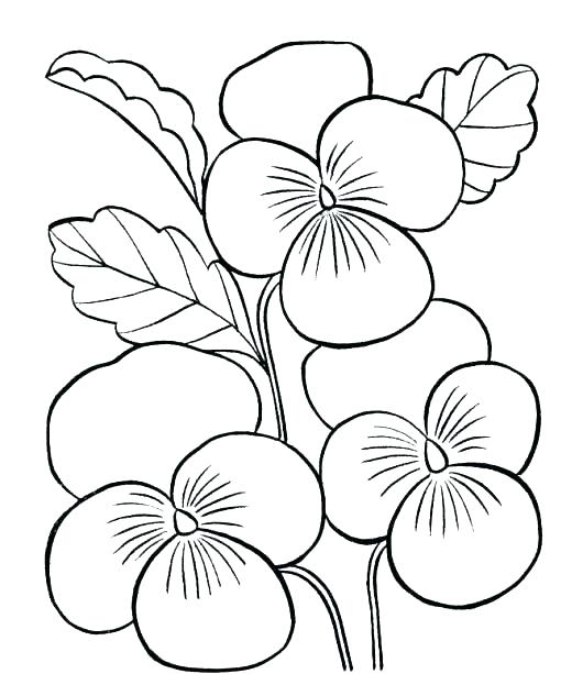 530x613 Free Printable Flowers Coloring Pages Simple Flower Coloring Pages