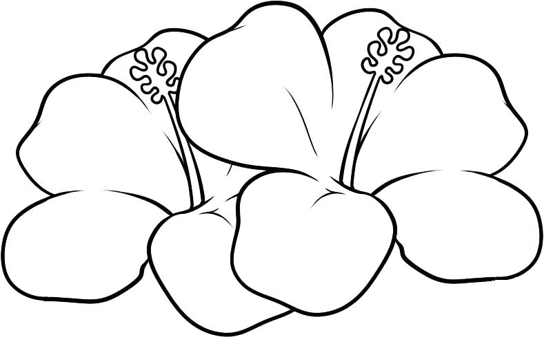 789x490 Hawaiian Flowers Coloring Pages Flowers Coloring Pages Flower