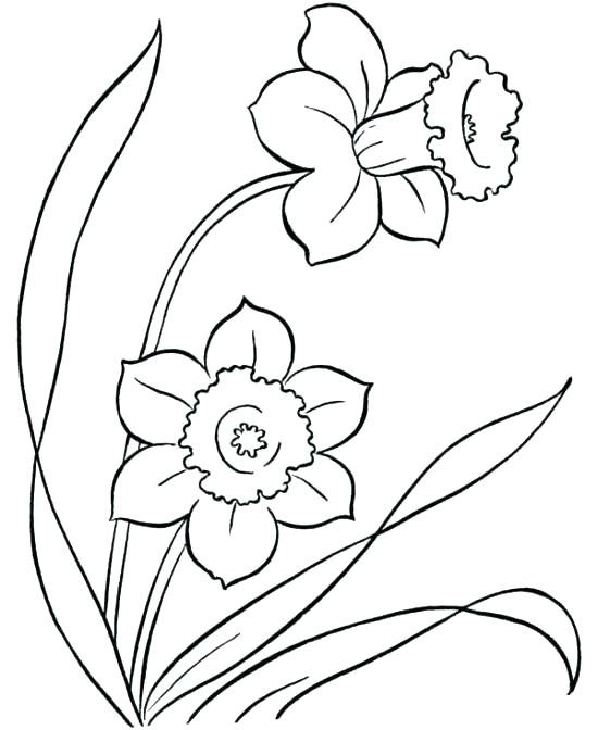 Free Coloring Pages Of Hawaiian Flowers at GetColorings.com | Free ...