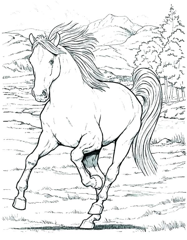 Horse Coloring Pages To Print For Free Coloring Horse Pages 600x771 Horse Coloring Pages To Print For Free Coloring Horse Pages