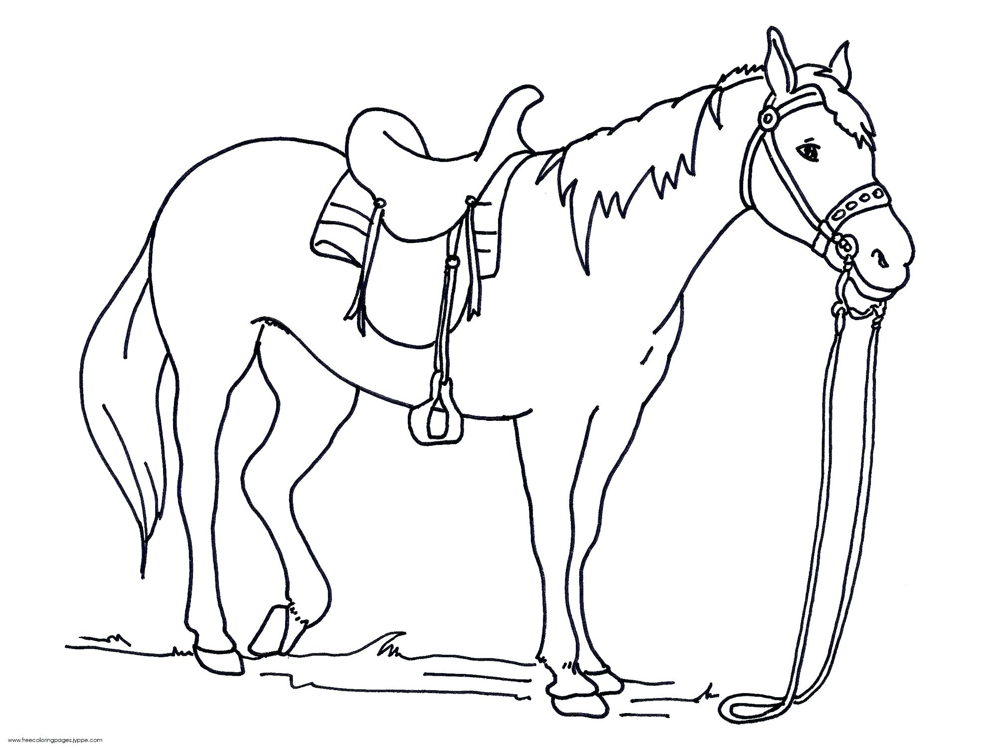 Reliable Race Horse Coloring Pages To Print Horses Pdf Flying Free 2000x1500 Reliable Race Horse Coloring Pages To Print Horses Pdf Flying Free