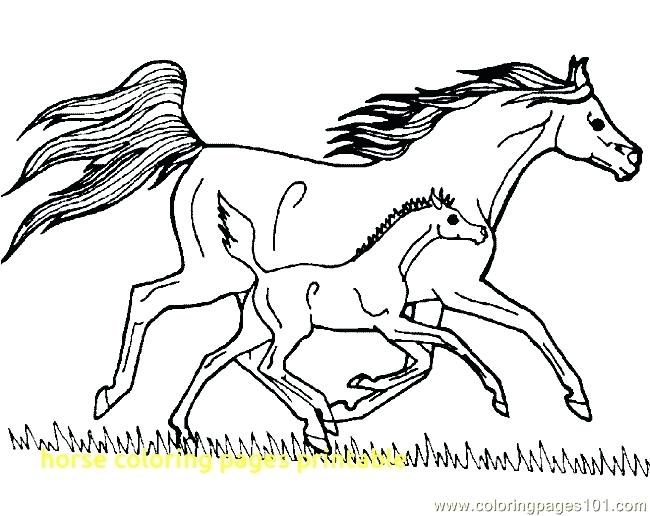 Free Coloring Pages Horses Cliptext.co 650x516 Free Coloring Pages Horses Cliptext.co