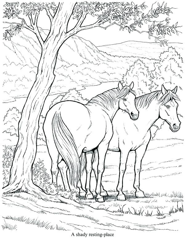 Horse Jumping Coloring Pages 607x770 Horse Jumping Coloring Pages