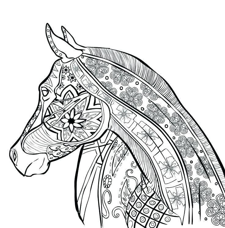 Coloring Pages Of Horses Horses Coloring Pages F Horse Coloring 736x747 Coloring Pages Of Horses Horses Coloring Pages F Horse Coloring