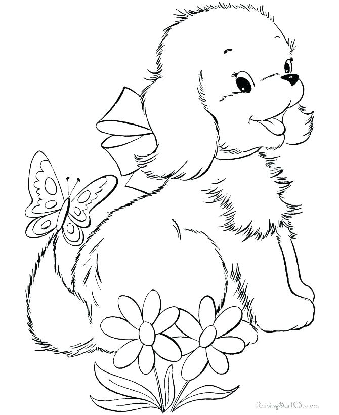 670x820 Coloring Pages Puppies And Kittens Free Printable Animals Coloring