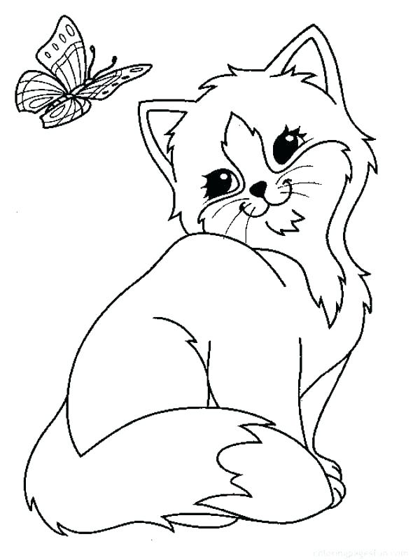 590x800 Impressive Printable Pictures Of Cats Colouring In Humorous Puppy