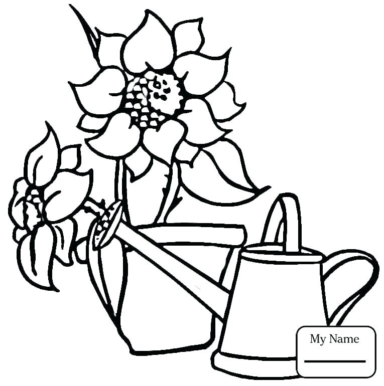 765x770 Sunflower By Flowers Coloring Pages For Kids Free Coloring Free