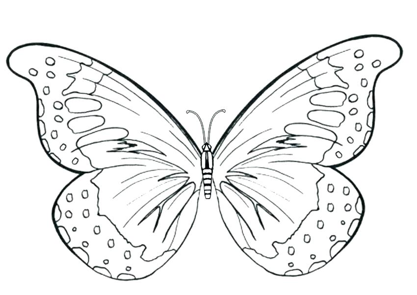 850x600 Butterflies Coloring Pages Butterflies Coloring Free Coloring