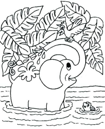 Zoo Animals Coloring Pages Animal Coloring Pages Free Free 444x543 Zoo Animals Coloring Pages Animal Coloring Pages Free Free