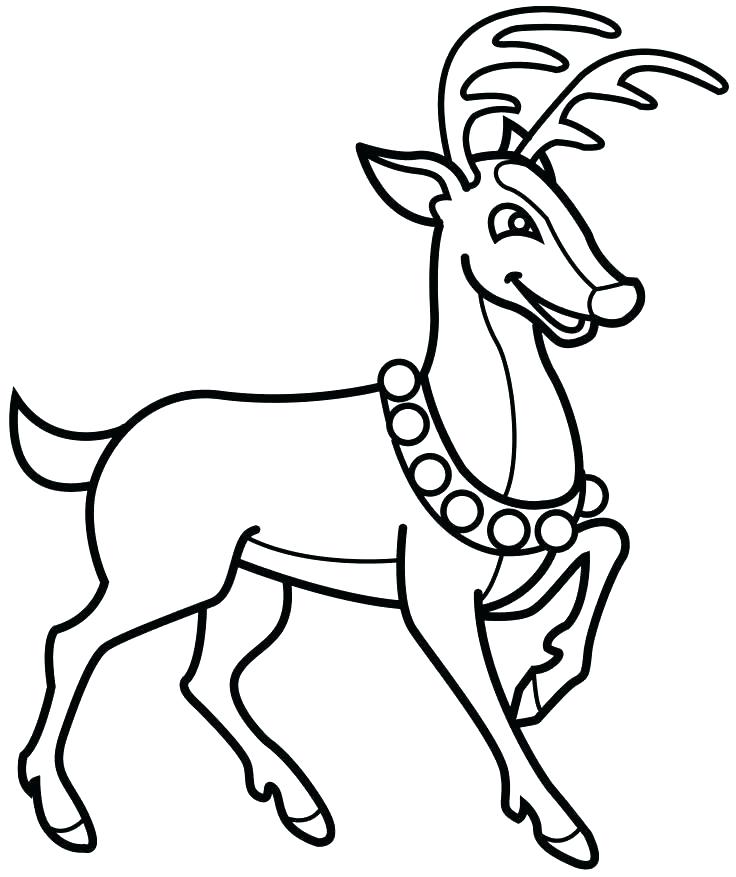 736x877 Free Reindeer Coloring Pages Coloring Pages Coloring Pages Free