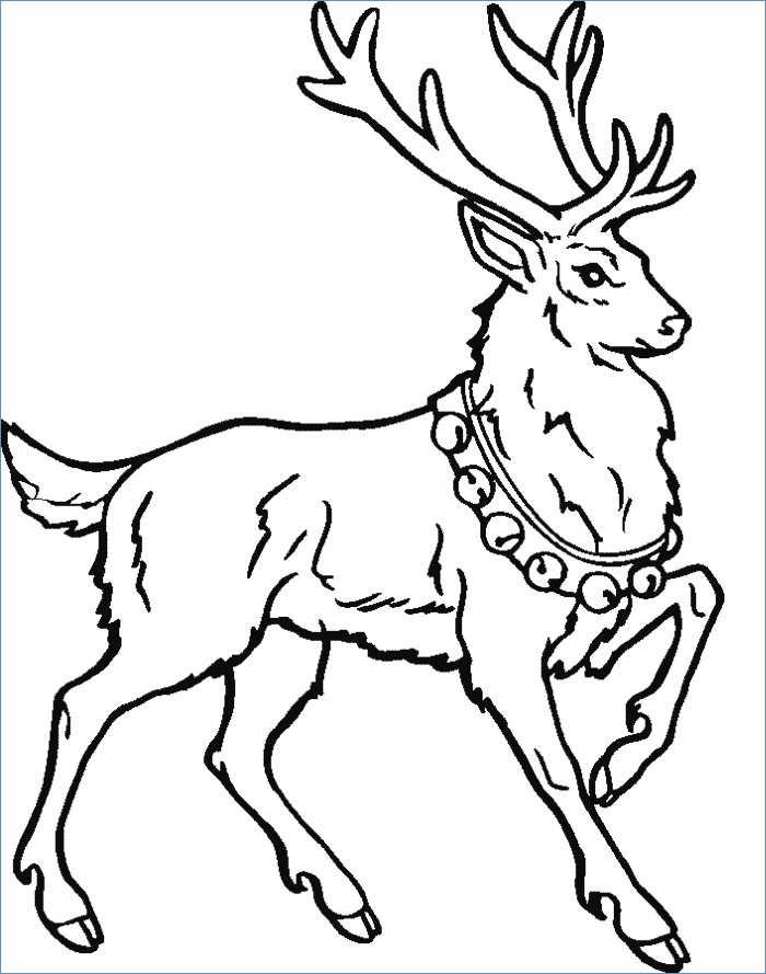700x889 Cute Baby Reindeer Coloring Page