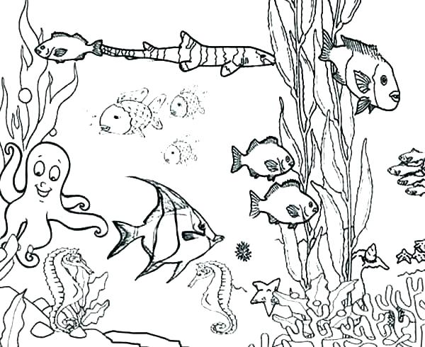 600x490 Hidden Pictures Coloring Pages Printable Ocean Pictures Printable