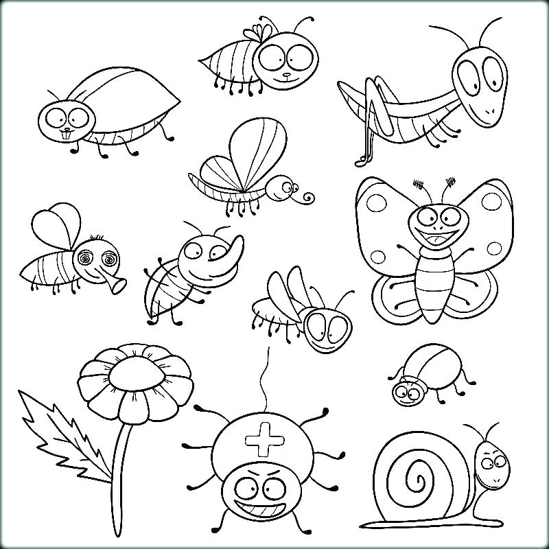 800x800 Coloring Bugs Insect Coloring Pages Insect Coloring Pages Online
