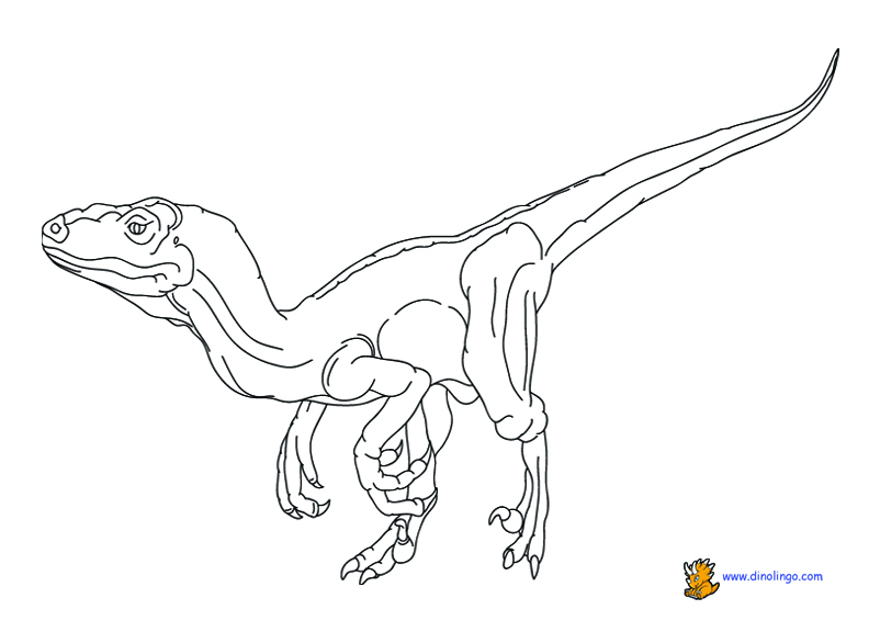 792x576 Dinosaur Coloring Pages Dino Lingo Blog