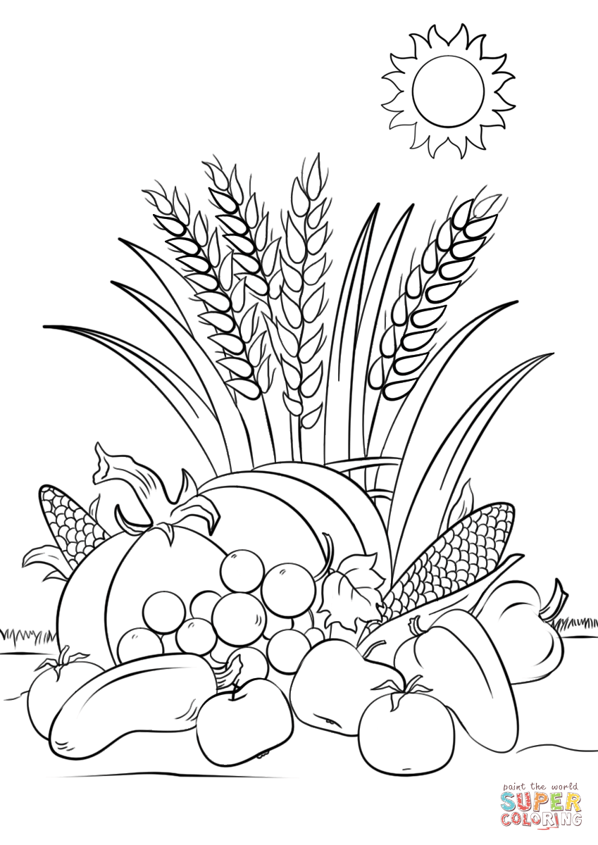 849x1200 Cornucopia Coloring Pages Striking For Preschool Printable Page