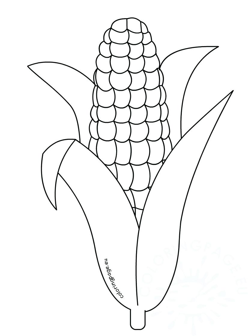 826x1122 Coloring Pages ~ Cornucopia Coloring Page Best Printable Pages Pdf