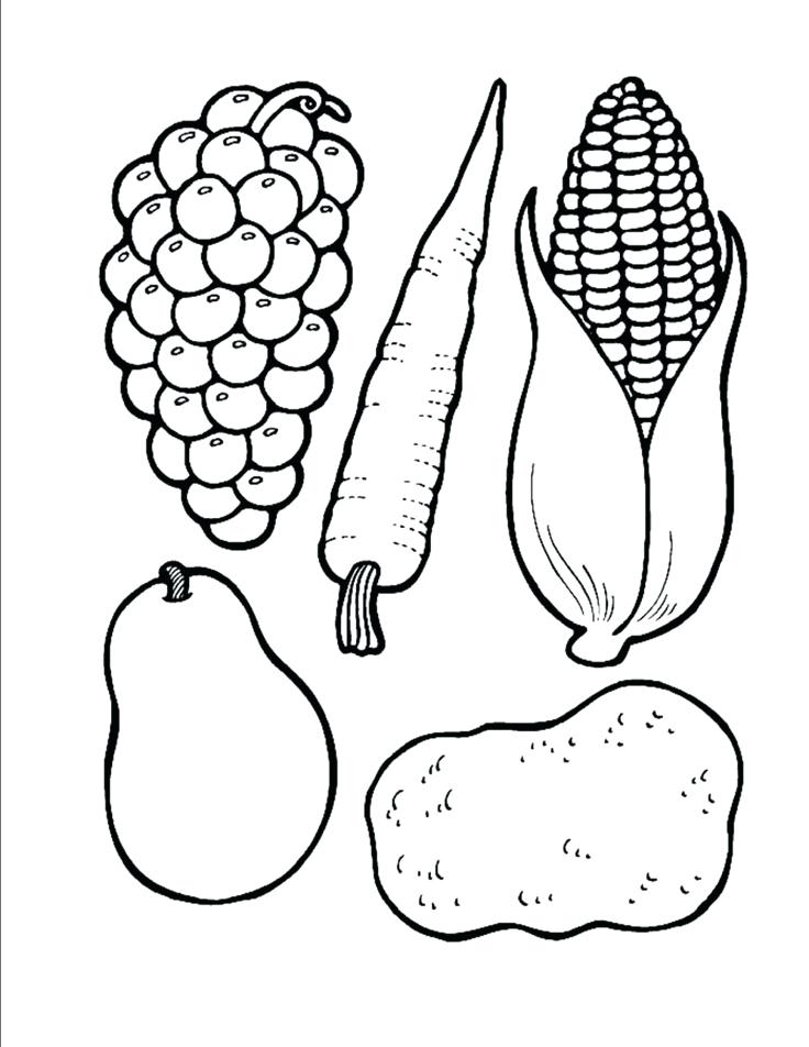736x952 Cornucopia Coloring Page Cornucopia Projects Kindergarten Google