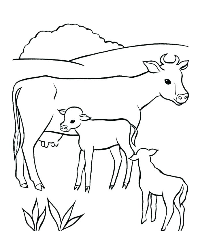 Coloring Pages Cow Cow Coloring Pages Cows Horse En Cute Baby 687x800 Coloring Pages Cow Cow Coloring Pages Cows Horse En Cute Baby