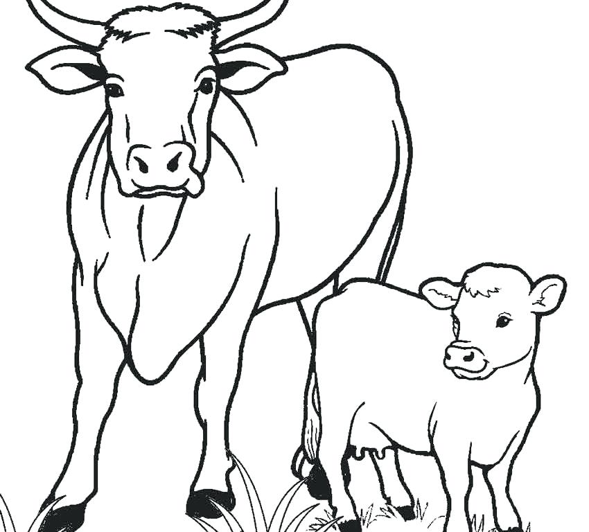 Free Printable Cow Coloring Pages For Kids Cow Coloring Pages Free 850x768 Free Printable Cow Coloring Pages For Kids Cow Coloring Pages Free