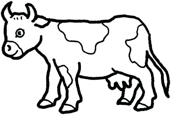 Opportunities Cow Coloring Sheets Free Printable Pages For Kids 600x402 Opportunities Cow Coloring Sheets Free Printable Pages For Kids