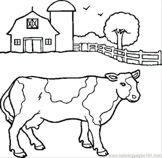Cow Pictures To Color 650x635 Cow Pictures To Color