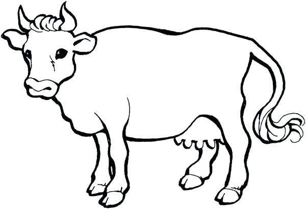 Free Cow Coloring Pages at GetColorings.com | Free printable colorings ...