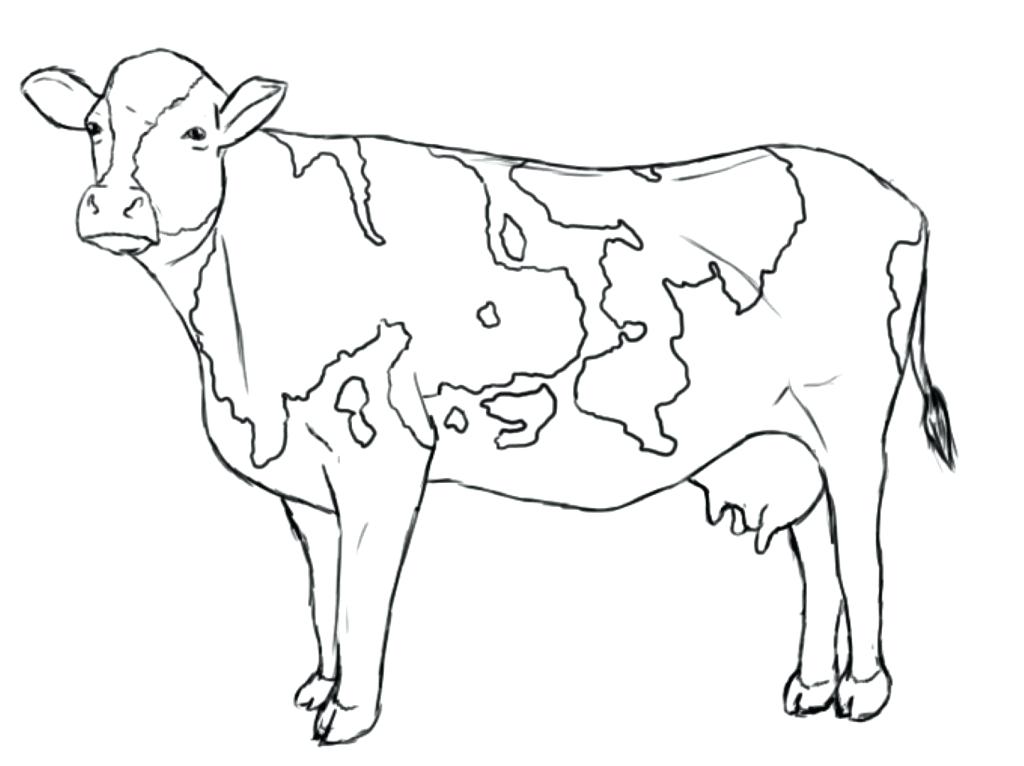 Cow Coloring Page Cow With Calf Cow With Calf Coloring Page 1024x766 Cow Coloring Page Cow With Calf Cow With Calf Coloring Page