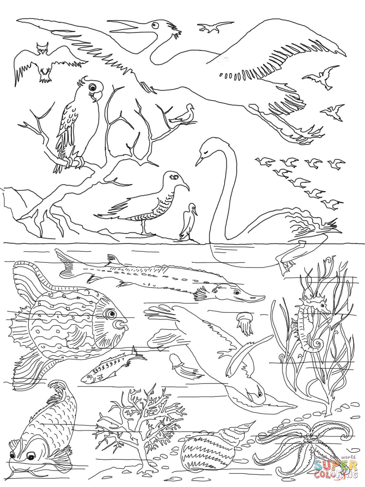 5th Day Of Creation Coloring Page Free Printable Coloring Pages 1200x1600 5th Day Of Creation Coloring Page Free Printable Coloring Pages