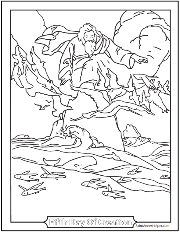 Creation Coloring Pages God Made Fishes And Birds 590x762 Creation Coloring Pages God Made Fishes And Birds