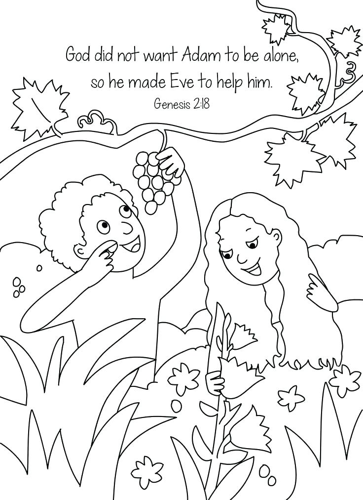 Free Creation Coloring Pages at GetColorings.com | Free printable ...