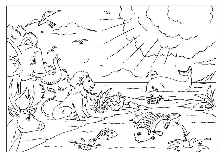 Creation Coloring Page Bible Creation Coloring Pages Background 875x620 Creation Coloring Page Bible Creation Coloring Pages Background
