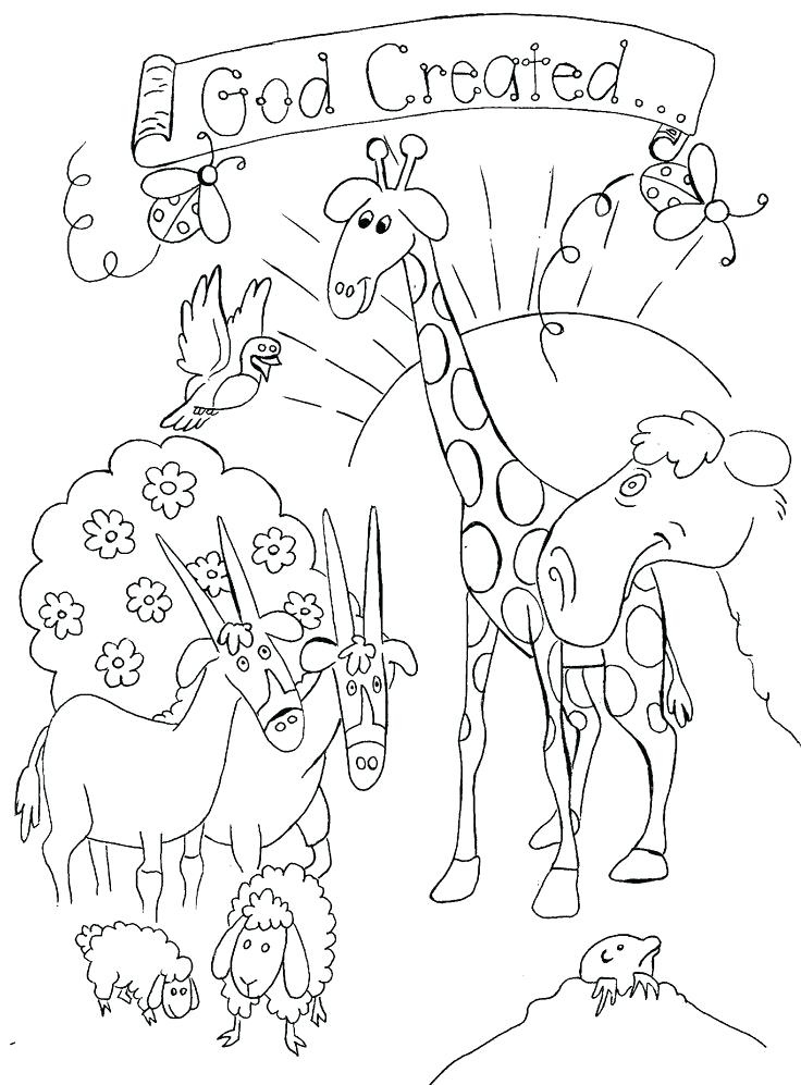 Creation Coloring Page 736x997 Creation Coloring Page