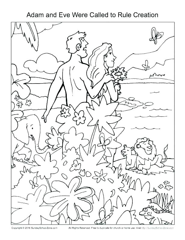 Creation Coloring Pages 615x796 Creation Coloring Pages