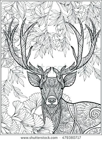 Deer Coloring Pages Free Deer Coloring Pages Deer Coloring Pages 341x470 Deer Coloring Pages Free Deer Coloring Pages Deer Coloring Pages