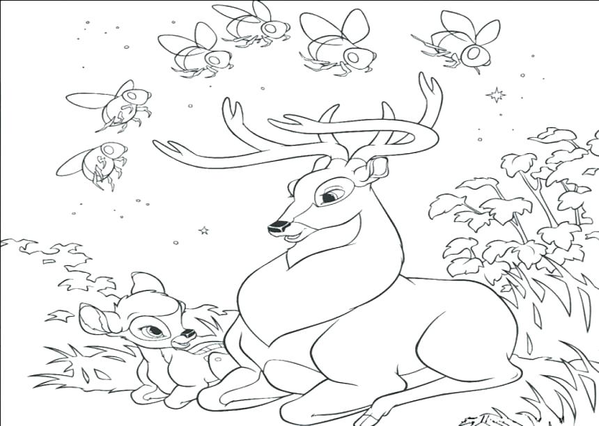 Whitetail Deer Coloring Pages Free Deer Coloring Pages Realistic 860x612 Whitetail Deer Coloring Pages Free Deer Coloring Pages Realistic