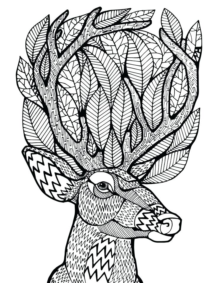 Coloring Pages Deer Adult Coloring Pages Deer Free Deer Hunting 736x952 Coloring Pages Deer Adult Coloring Pages Deer Free Deer Hunting