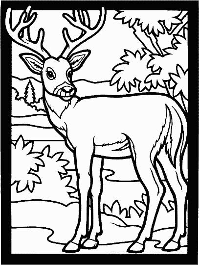 Deer Coloring Page For Kids 407x540 Deer Coloring Page For Kids