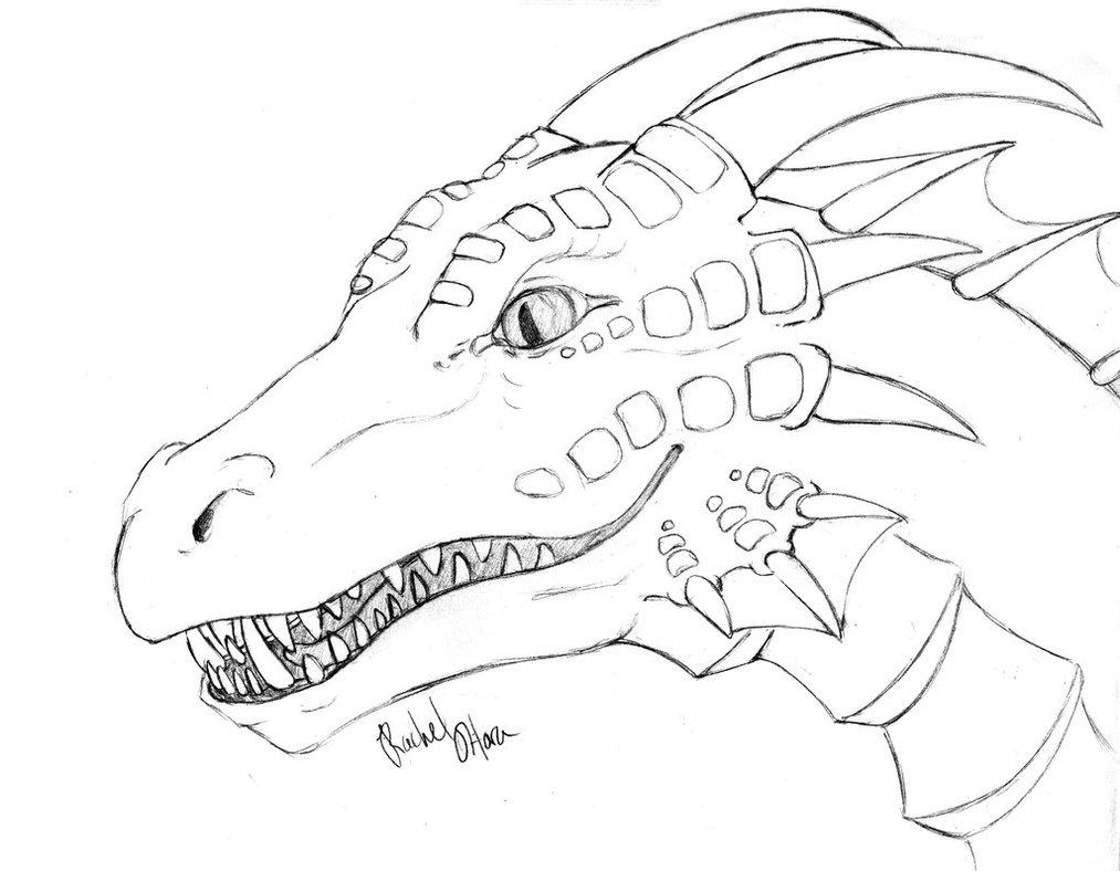 1013x788 Realistic Dragon Coloring Pages