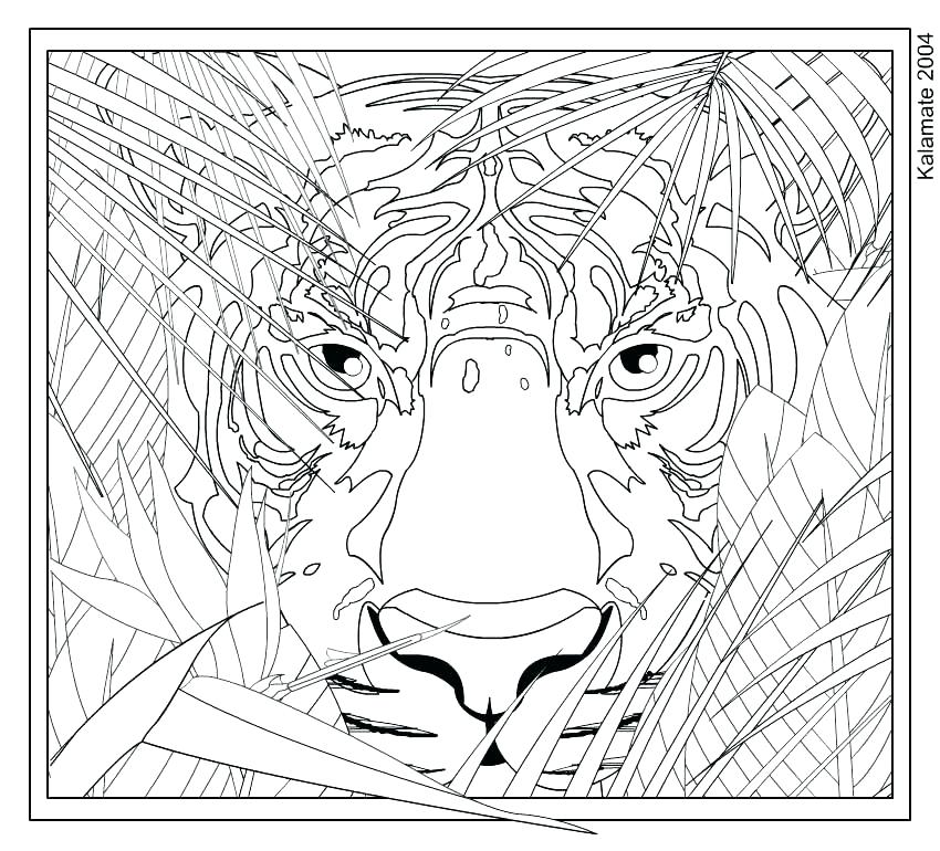 850x770 Hard Coloring Pages For Kids Free Difficult Coloring Pages Image