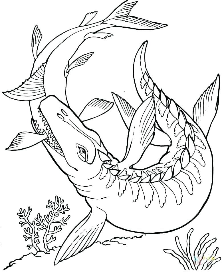 Dinosaur Coloring Pages Free Dinosaur Coloring Books Free Dinosaur 778x953 Dinosaur Coloring Pages Free Dinosaur Coloring Books Free Dinosaur