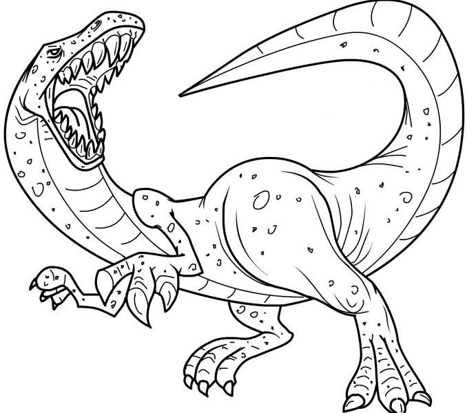 Free Dinosaur Coloring Pages Kids Coloring 678x600 Free Dinosaur Coloring Pages Kids Coloring